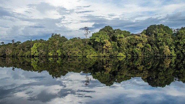 Kemudian ada Jau National Park, Brazil. Untuk sampai di Jau National Park, para petualang hanya bisa menaiki perahu dari hub Amazon dari daerah Novo Airao. Perlu Anda tahu, Jau National Park menjadi hutan tropis terbesar di dunia dengan berbagai macam kehidupan satwa liarnya. Wisatawan yang berlibur ke sini pun tidak bisa menggnakan barang-barng elektronik. (Getty Images) Kemudian ada Jau National Park, Brazil. Untuk sampai di Jau National Park, para petualang hanya bisa menaiki perahu dari hub Amazon dari daerah Novo Airao. Perlu Anda tahu, Jau National Park menjadi hutan tropis terbesar di dunia dengan berbagai macam kehidupan satwa liarnya. Wisatawan yang berlibur ke sini pun tidak bisa menggnakan barang-barng elektronik. (Getty Images)