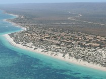 Usai Siklon Narelle, Pantai Ini Menjadi Pemakaman