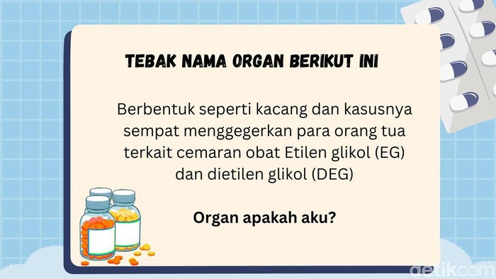asah otak Fadilla Namira/detikHealth