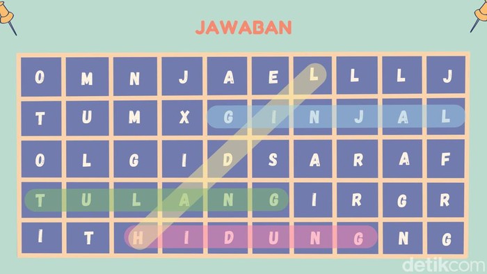 asah otak Fadilla Namira/detikHealth