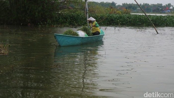 Warga Pati beraktivitas menggunakan perahu saat banjir masih merendam sejumlah wilayah di Pati, Jumat (20/1/2023).