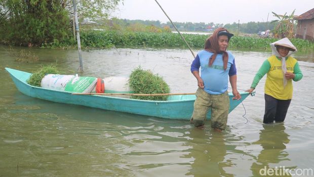 Kondisi banjir di Desa Banjarsari Kecamatan Gabus, Kabupaten Pati, Jumat (20/1/2023).