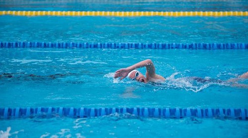 Berenang gaya bebas.