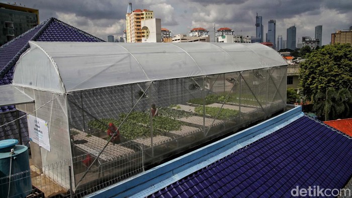 Melihat 'Smart Farming' di Atap Masjid Asy-syifa RSCM