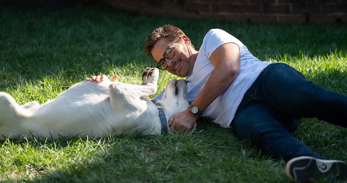 Dog Gone (2023) merupakan film terbaru original Netflix.