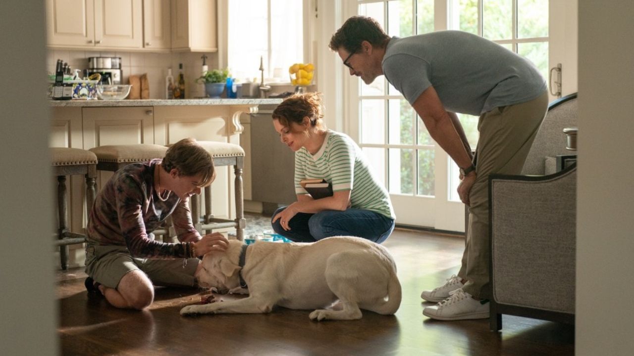 Dog Gone (2023) merupakan film terbaru original Netflix.