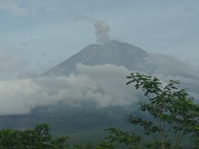 gunung semeru erupsi Jumat, 20 Januari 2023, pukul 06:49 WIB
