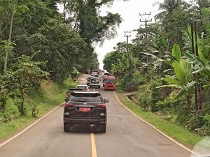 Mencoba Jalur Pansela: Jalan Berkelok Membelah Hutan