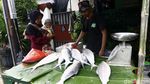 Jelang Imlek, Pedagang Ikan Bandeng Musiman Ramai di Rawa Belong