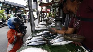 Jelang Imlek, Pedagang Ikan Bandeng Musiman Ramai di Rawa Belong