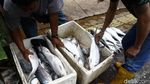 Jelang Imlek, Pedagang Ikan Bandeng Musiman Ramai di Rawa Belong