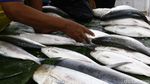 Jelang Imlek, Pedagang Ikan Bandeng Musiman Ramai di Rawa Belong
