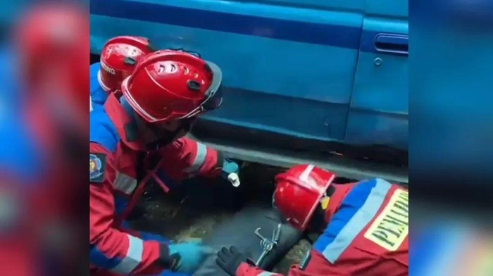 Kemunculan seekor ular di dalam mobil angkot bikin kaget calon penumpang. Sopir angkot tersebut lalu bergegas ke kantor damkar agar ular dievakuasi. (IG @damkarjakartatimur)