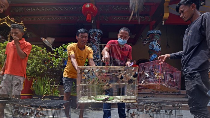 Warga keturunan Tionghoa melepas sejumlah burung dalam rangka menyambut perayaan tahun baru Imlek 2574/2023 di Vihara Avalokitesvara di Kasemen, Serang, Banten, Jumat (20/1/2023). Tradisi melepas burung dalam perayaan Imlek melambangkan ungkapan untuk melepas keburukan, permohonan maaf dan keselamatan sekaligus untuk menjaga kelestarian alam. ANTARA FOTO/Asep Fathulrahman/foc.