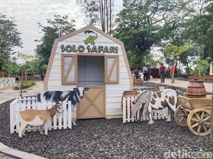Hore! Solo Safari Segera Dibuka, Bakal Ada Animal Show