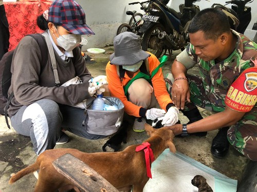 Petugas vaksinasi dari Dinas Pertanian dan Pangan Jembrana saat melakukan vaksinasi rabies di wilayah Desa Gumbrih, Kecamatan Pekutatan, Kabupaten Jembrana, Kamis (19/1/2023).