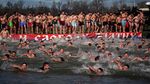 Rayakan Hari Epiphany, Warga Serbia Serempak Berenang di Sungai Es