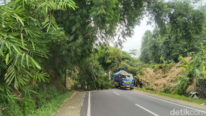 Jalan di Majalengka tertutup rumpun bambu tumbang pada Jumat (20/1/2023).
