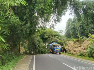 Rumpun Bambu Tumbang, Akses Majalengka-Kuningan Tertutup Sebagian