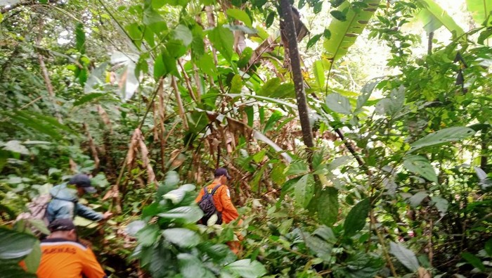 Basarnas saat lakukan penyisiran di kawasan perbukitan di Kerinci tempat hilangnya kakek Sidi (dok Basarnas Jambi)