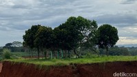 Salah seorang keluarga pemilik makam, Wardana, menyebut kuburan itu akan dipindahkan agar keluarga tetap dapat berziarah. (Devi Puspitasari/detikcom)