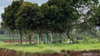 Saya mempertahankan makam, jadi kalau pertanyaan tadi kenapa itu ditinggal dan tidak digusur ya karena kami juga keberatan kalau dari pihak pengembang itu tidak memberikan uang untuk pemindahan tersebut, jelas Wardana. (Devi Puspitasari/detikcom)