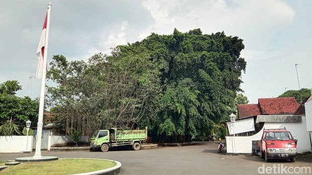 Ringin Kurung yang ada di Situs Kemiri, Kabupaten Pati, Jumat (20/1/2023).