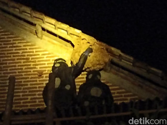 Sarang Tawon Vespa Raksasa di Trenggalek