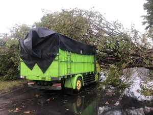 Angin Kencang Landa Mojolaban Sukoharjo, 2 Orang Tewas Tertimpa Pohon