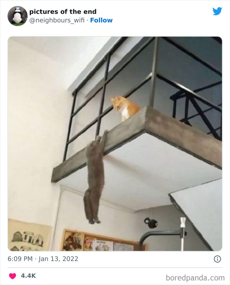 Foto-foto kocak ini dipilih secara acak oleh detikINET untuk membuat harimu dihiasi senyuman. Ayo dong, senyum.