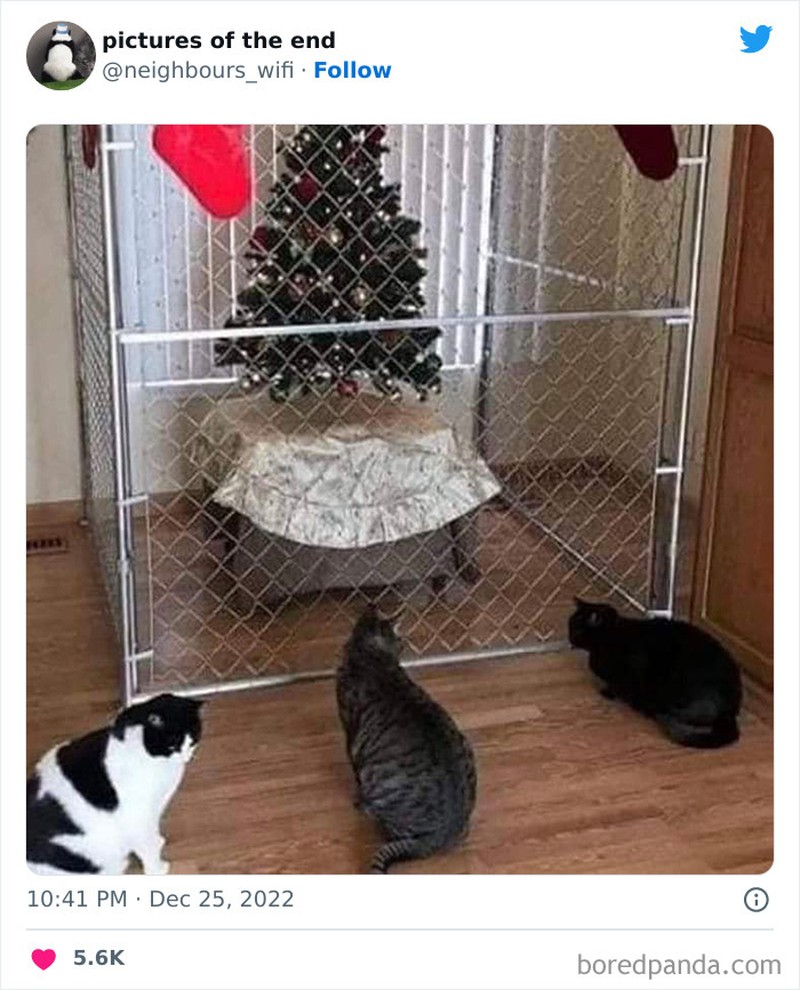 Foto-foto kocak ini dipilih secara acak oleh detikINET untuk membuat harimu dihiasi senyuman. Ayo dong, senyum.