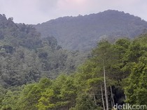 Nekat Mendaki Gunung Sendirian, Wendi Dilaporkan Hilang-Tinggalkan Pesan
