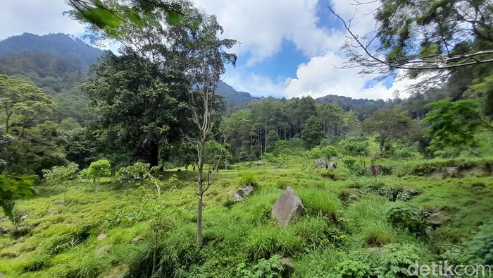 Jalur pendakian di Gunung Manglayang.