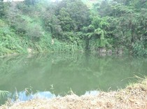 Tragedi Maut Letusan Kawah Sinila di Dieng, Renggut 147 Nyawa Tak Berdosa