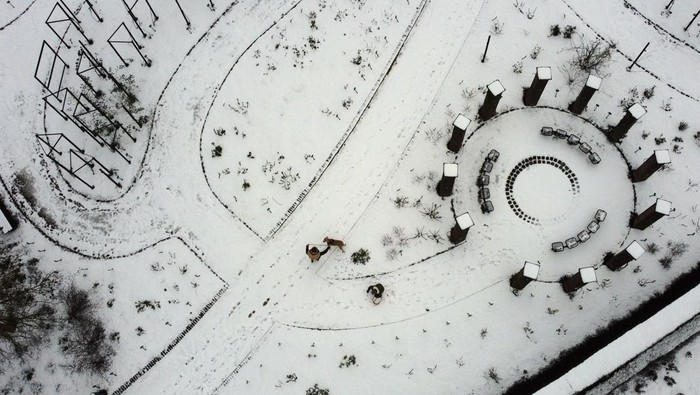 Snow covers the Coloma Rose Garden that consists of the red-white garden, the Flemish garden, the old rose garden and the international garden, in Sint-Pieters-Leeuw, Belgium January 20, 2023. REUTERS/Yves Herman