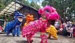 Momen Festival Barongsai saat Imlek