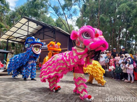 Pertunjukan barongsai di Floating Market, Lembang, Bandung Barat, Minggu (22/1/2023).