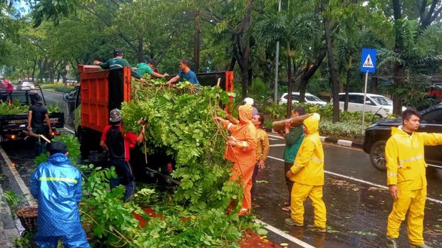 pohon tumbang di surabaya