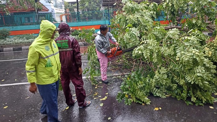 pohon tumbang di surabaya