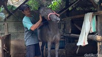 Kawasan pun semakin ramai dengan mulai dibangunnya pintu air, tempat pembuangan sampah, hingga penduduk di lingkungan setempat. 