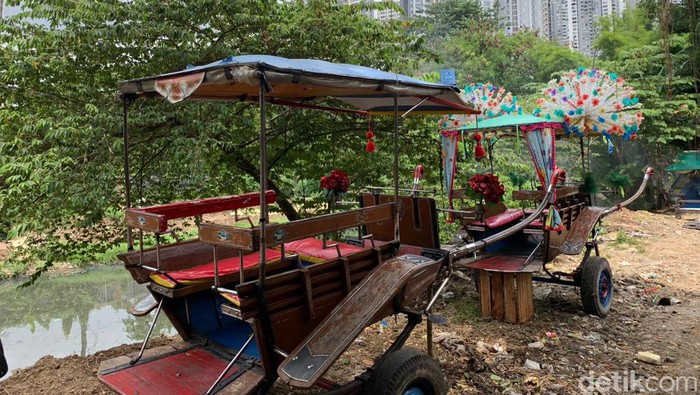 Di balik gedung-gedung tinggi di Jakarta tersimpan lahan terbatas sebagai kandang kuda delman yang keberadaannya semakin jarang. Di Kemanggisan, Jakarta Barat, tepatnya di belakang gedung tinggi Golkar adalah salah satu kandangnya, Minggu (22/1/2023).