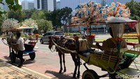 Sebagai informasi, kandang delman Monas selain di Kemanggisan juga berada di Kuningan yang menampung 11 kuda, di Joglo 4 kuda dan di Sunter 2 kuda. 