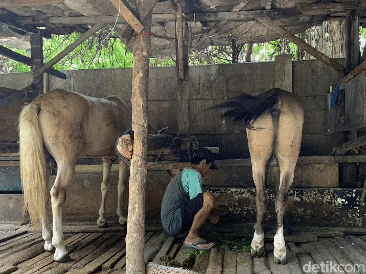 Potret Kampung Delman di Tengah Hiruk Pikuk Ibu Kota