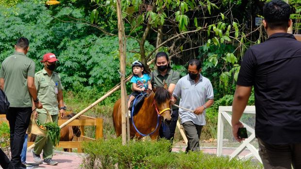 Cucu Jokowi, Jan ethes dan La Lembah Manah naik kuda di Solo Safari, Kota Solo, Senin (23/1/2023).