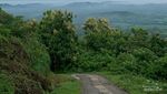 Ada yang Pernah ke Desa Jurangjero? Hidden Gem Gunungkidul Nih