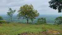 Magir Indah, Kaliwuluh