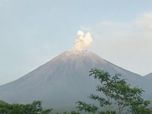 Gunung Semeru Erupsi 2 Kali Pagi Ini, Tinggi Letusan Capai 800 Meter
