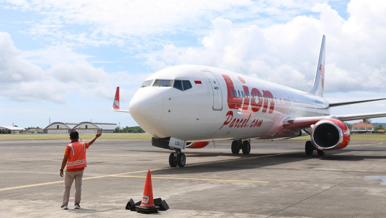 ilustrasi Pesawat Lion Air Ilustrasi Lion Air