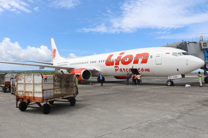 Ilustrasi Lion Air