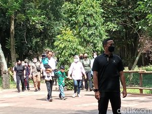 Jokowi Ajak Jan Ethes dan La Lembah ke Solo Safari Saat Cuti Bersama Imlek